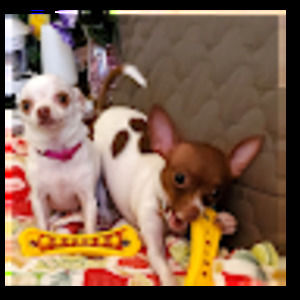 Meet your Posher, Deborah